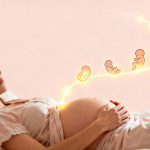The Miracle of Pregnancy: From Conception to Birth